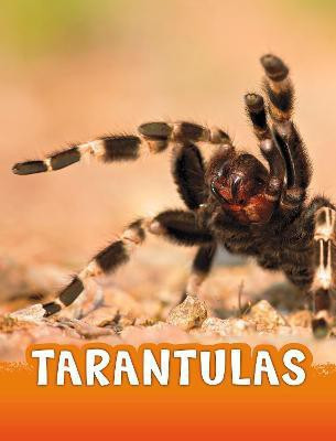 Tarantulas(English, Paperback, Jaycox Jaclyn)