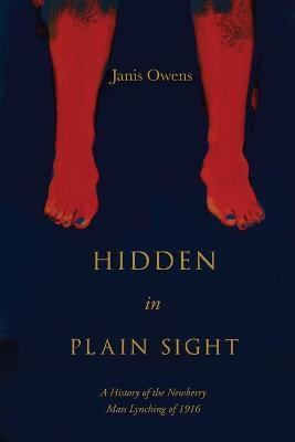 Hidden in Plain Sight(English, Paperback, Owens Janis)