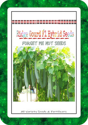 VibeX Ridge-Sponge-Gourd Seed(175 per packet)