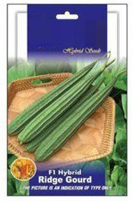 VibeX Sponge Gourd Seed(100 per packet)