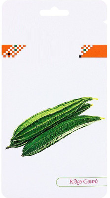 VibeX Ridge-Sponge-Gourd Seed(125 per packet)