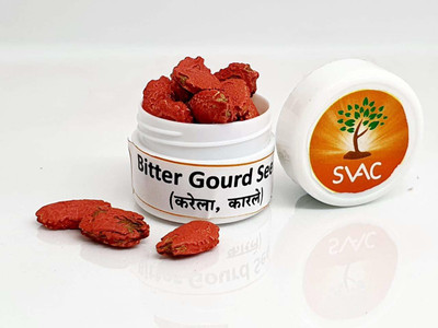VibeX Bitter Gourd Seed(100 per packet)