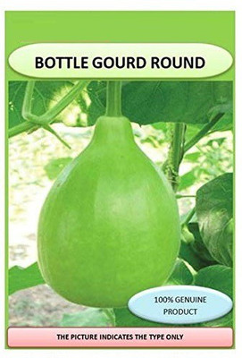 VibeX Bottle Gourd Seed(80 per packet)