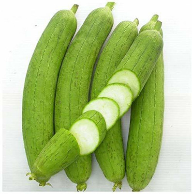 VibeX Ridge-Sponge-Gourd Seed(70 per packet)