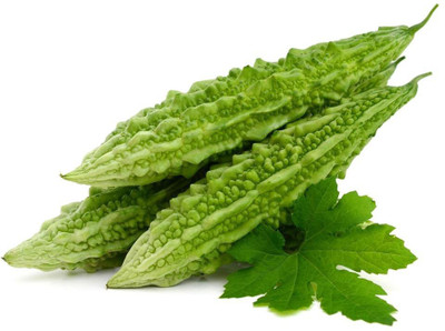 ActrovaX Gardening Bitter Gourd [100 Seeds] Seed(100 per packet)