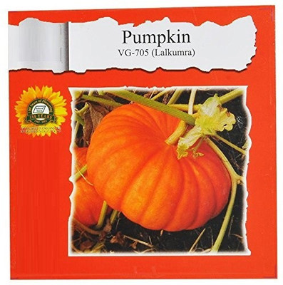 ActrovaX Pumpkin (Lalkumra) [400 Seeds] Seed(400 per packet)