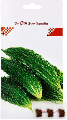 VibeX Bitter Gourd Seed(125 per packet)