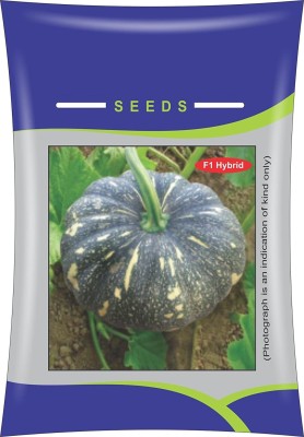 Qualtivate ® High Yields Big Giant Pumpkin Seeds Seed(150 per packet)