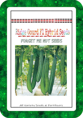 VibeX Ridge-Sponge-Gourd Seed(25 per packet)