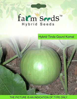 VibeX Bottle Gourd Seed(100 per packet)