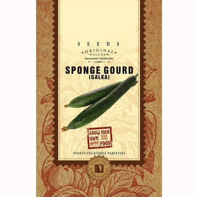 VibeX Ridge-Sponge-Gourd Seed(60 per packet)
