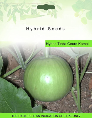 ActrovaX Bottle Gourd (Lauki/Lau/Clabash) - Hybrid F1 Sarita [100 Seeds] Seed(100 per packet)