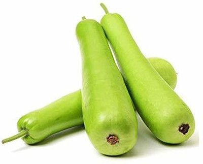 VibeX Bottle Gourd Seed(150 per packet)
