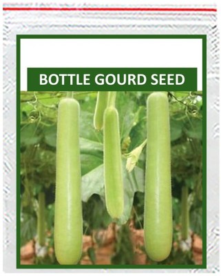 Biosnyg High Yield Organic Vegetable Seeds - Bottle Gourd 50gm Seeds Seed(50 g)