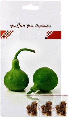 VibeX Bottle Gourd Seed(75 per packet)