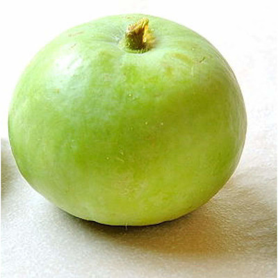 VibeX Apple Gourd Seed(10 per packet)