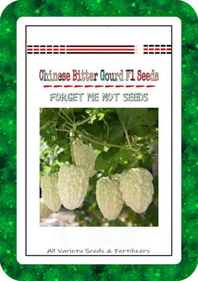 VibeX Bitter Gourd Seed(1000 per packet)