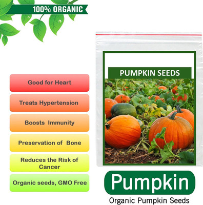 VibeX Pumpkin Seed(15 per packet)