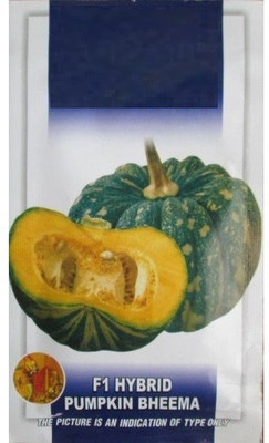 VibeX Pumpkin Seed(10 per packet)