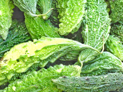 VibeX Bitter Gourd Seed(125 per packet)