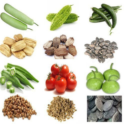 Beej Wala Bottlegourd, Karela, Tori Chikni, Bhindi, Tomato, Bottle Gourd Round Seed(1 per packet)