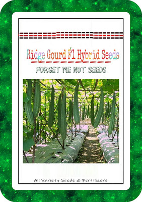 VibeX Ridge-Sponge-Gourd Seed(125 per packet)