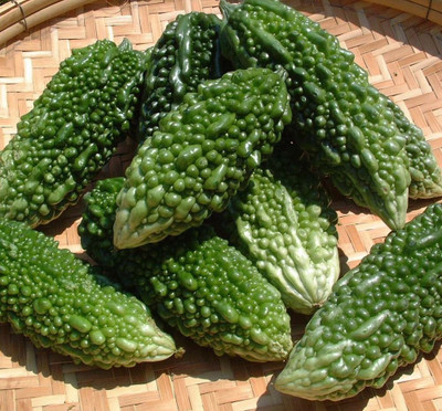 ActrovaX Bitter Gourd [400 Seeds] Seed(400 per packet)