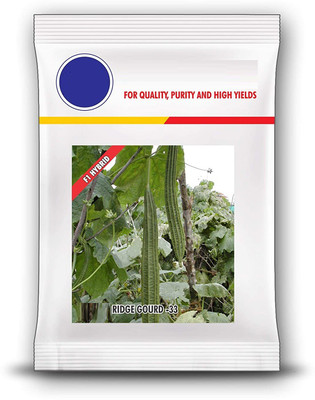 VibeX Ridge-Sponge-Gourd Seed(20 per packet)