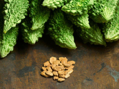 VibeX Bitter Gourd Seed(20 per packet)