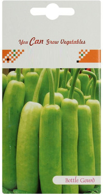 VibeX Bottle Gourd Seed(20 per packet)