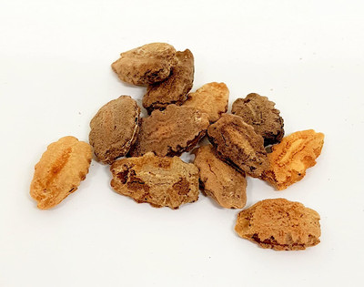 VibeX Bitter Gourd Seed(10 per packet)