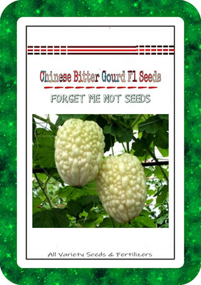 Qualtivate ™ Chinese Bitter gourd Seeds Seed(40 per packet)
