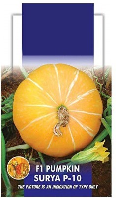 ActrovaX Pumpkin F1 Hybrid Surya P-10 Vegetable [200 Seeds] Seed(200 per packet)