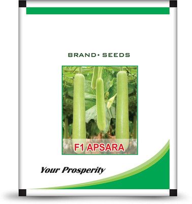 ActrovaX Hybrid Bottle Gourd [100 Seeds] Seed(100 per packet)
