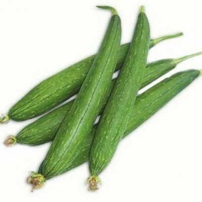 VibeX Ridge-Sponge-Gourd Seed(175 per packet)
