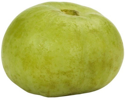 ActrovaX APPLE GOURD [20gm Seeds] Seed(20 g)