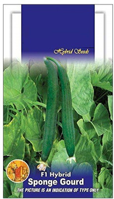 Qualtivate ™ Sponge Gourd F1 Komal Chikni Type Vegetable seeds Seed(120 per packet)