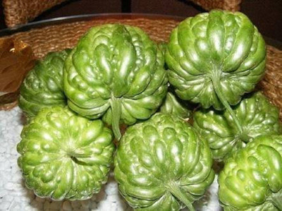 Qualtivate ™ Chinese Bitter Gourd Round Heirloom Vegetable seeds Seed(20 per packet)