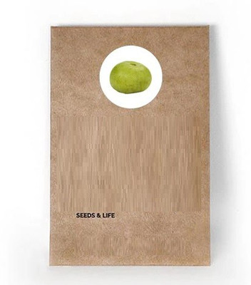 VibeX Apple Gourd Seed(100 per packet)