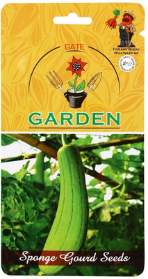 CYBEXIS Sponge Gourd Improved Seed Combo200 Seeds Seed(200 per packet)