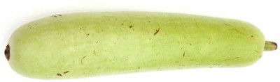 ActrovaX Bottle Gourd [50 Seeds] Seed(50 per packet)