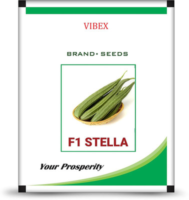 VibeX Ridge-Sponge-Gourd Seed(60 per packet)