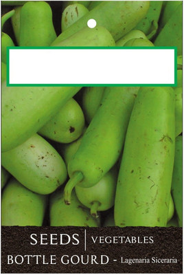 VibeX Bottle Gourd Seed(1000 per packet)