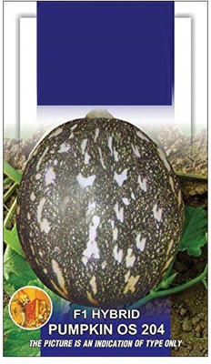 VibeX Pumpkin Seed(40 per packet)