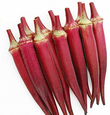 ActrovaX Heirloom Red Okra[2000 Seeds] Seed(2000 per packet)