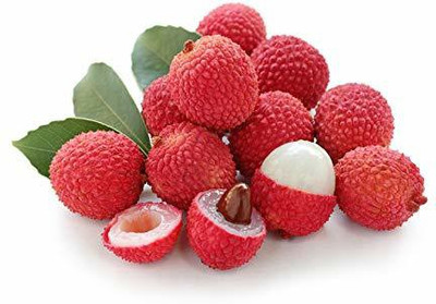 V Seed Litchi Soapberry Seed Seed(2 per packet)