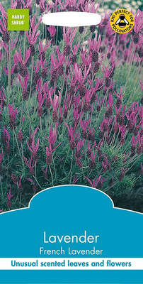 ActrovaX Heirloom Quality Imported Hybrid Lavender [400 Seeds] Seed(400 per packet)