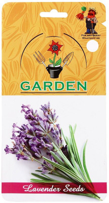 Biosnyg Lavender Seed(10 per packet)