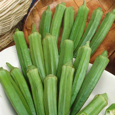 VibeX NDIR-17 - Non-GMO Okra - (1350 Seeds) Seed(1350 per packet)