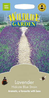 ActrovaX Hybrid Lavender [400 Seeds] Seed(400 per packet)